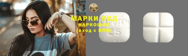 дурь Алзамай