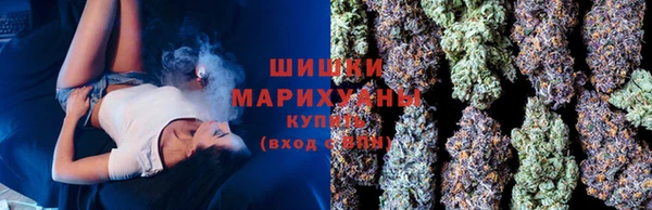 дурь Алзамай