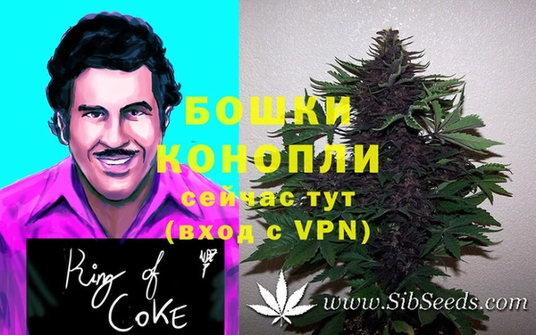 дурь Алзамай