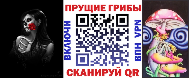 сайты даркнета телеграм  Заволжск  Псилоцибиновые грибы ЛСД 